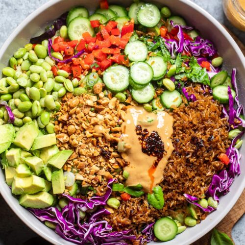 chicken crispy rice salad with peanut dressing and fresh vegetables